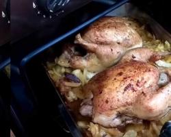 Курица в духовке — рецепты курицы в духовке с картошкой